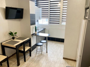 Apartment in center